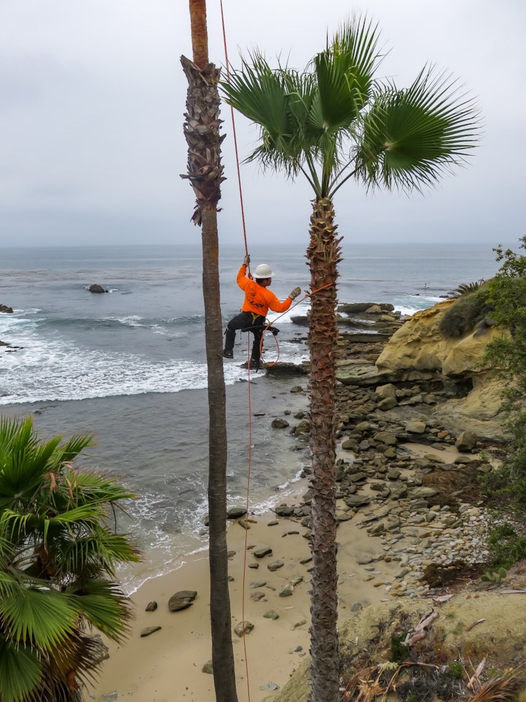 PCR Bike Tour Day 10 of 39 Doheny SP to Redondo Beach. May grey, long beaches, chaotic street ride