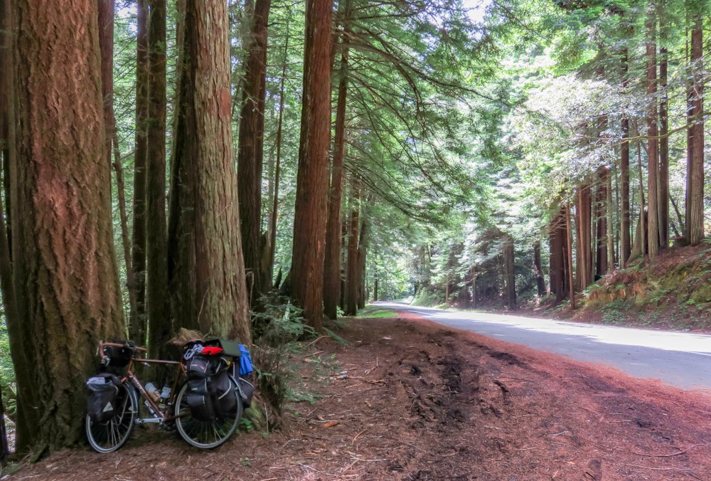 Day 26 – Bicycle Touring Mackerricher SP to Standish-Hickey SP. Going inland, long climbs, start of redwoods