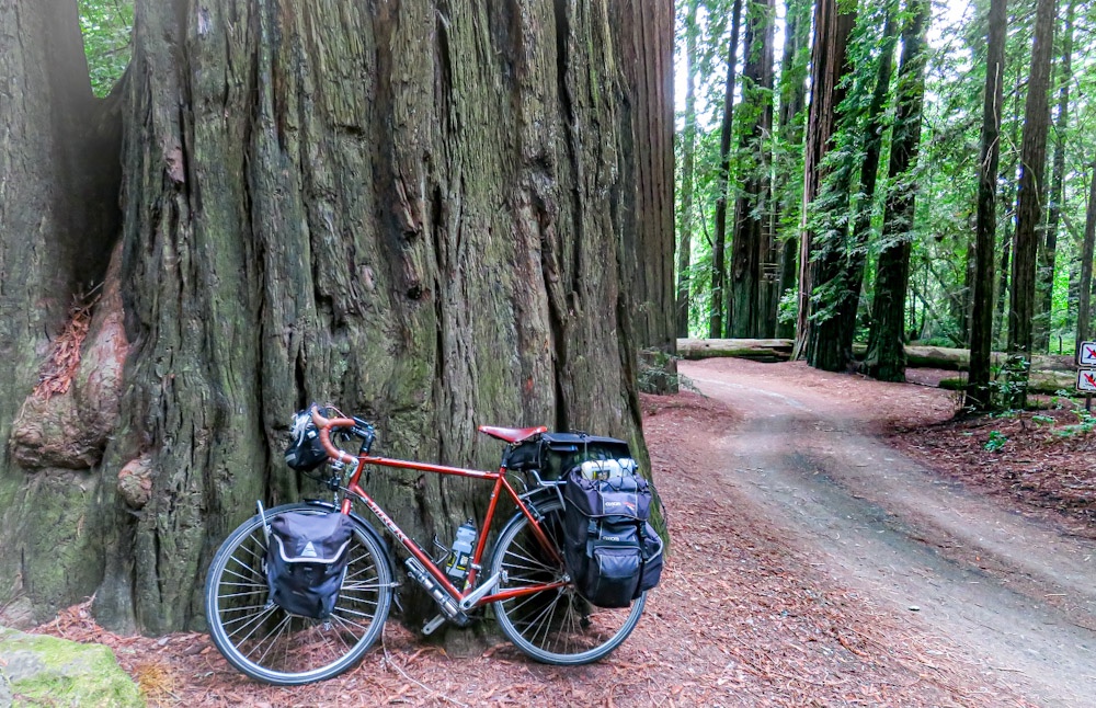 Day 27 – Bicycle Touring Standish-Hickey SP to Humboldt Redwoods (Burlington). Redwoods and Avenue of Giants